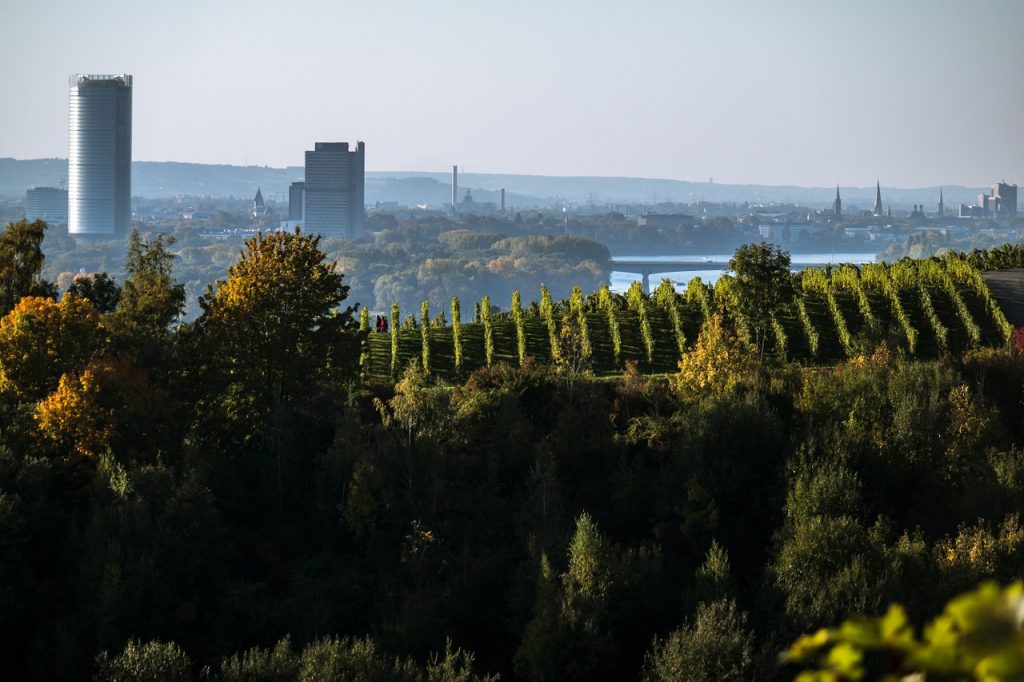Skyline Bonn