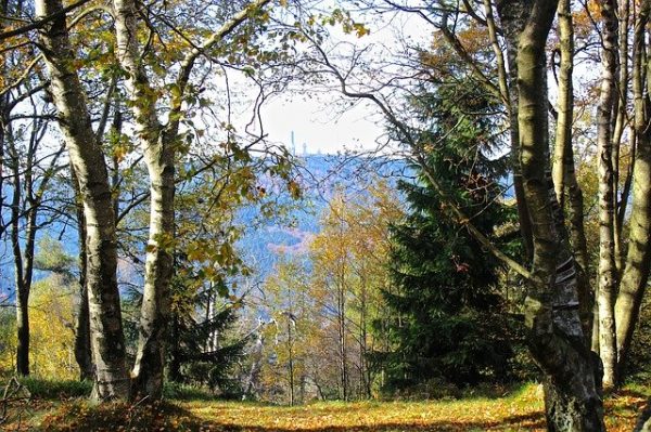 Feldberg